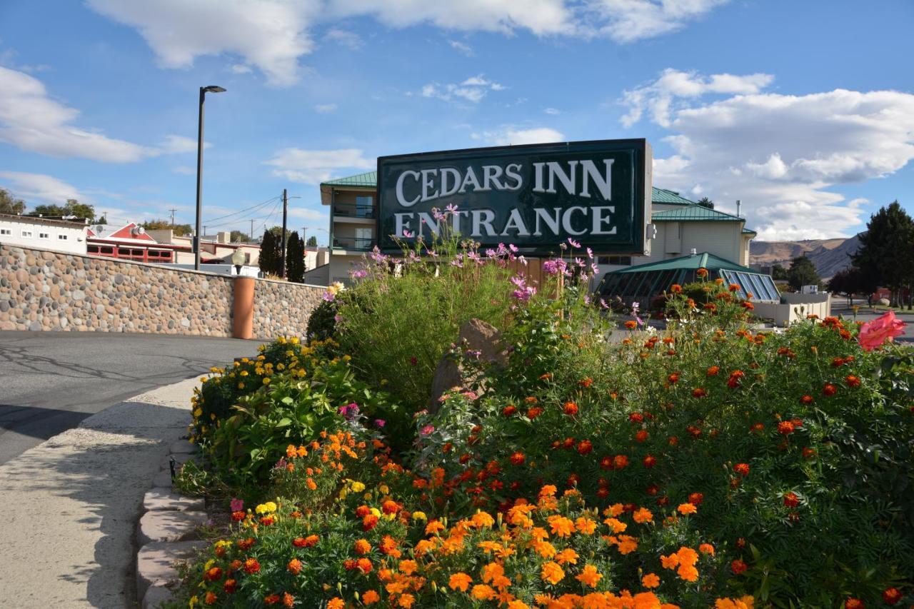 Cedars Inn ワナッチー エクステリア 写真